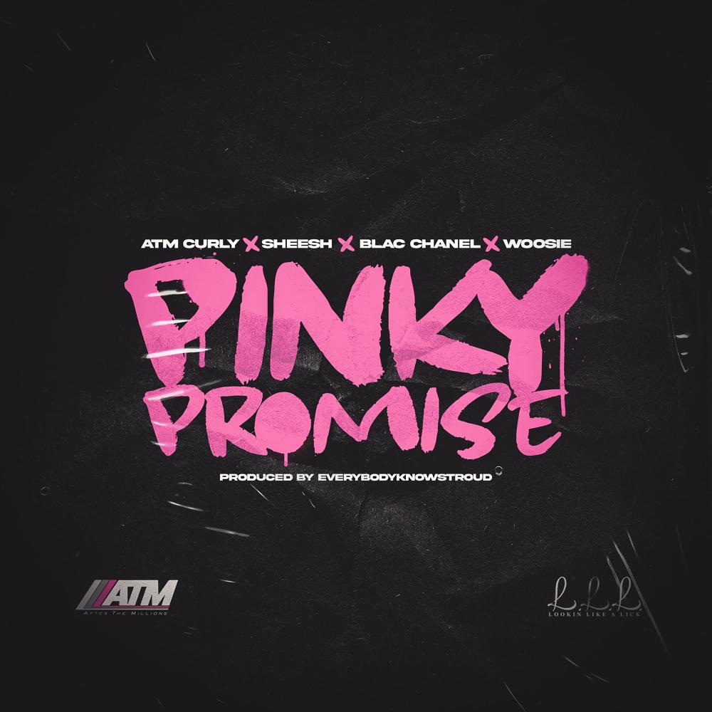 Pinky Promise (feat. S.H.E.E.S.H, Blac Chanel & Woosie) (Explicit)
