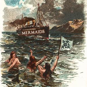 Album Mermaids oleh 绯闻女孩