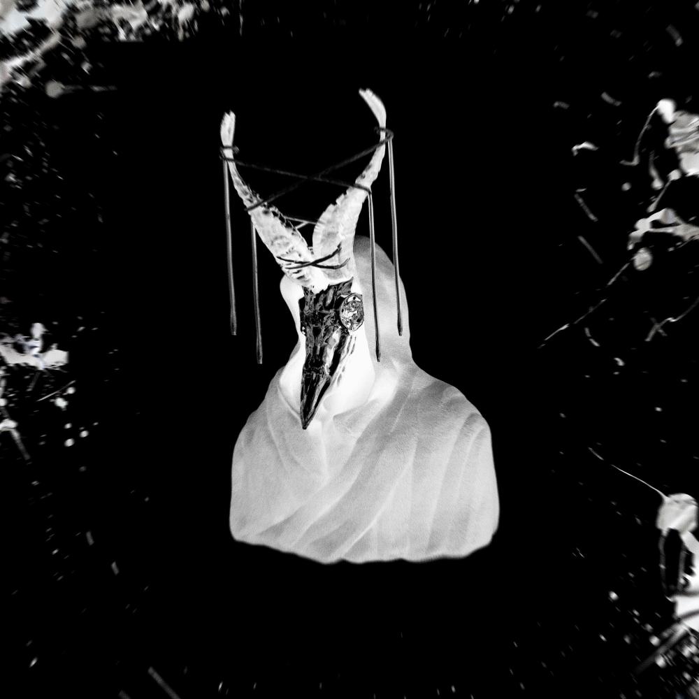 SHAMAN