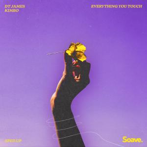 Listen to Everything You Touch (Sped Up) song with lyrics from DT James