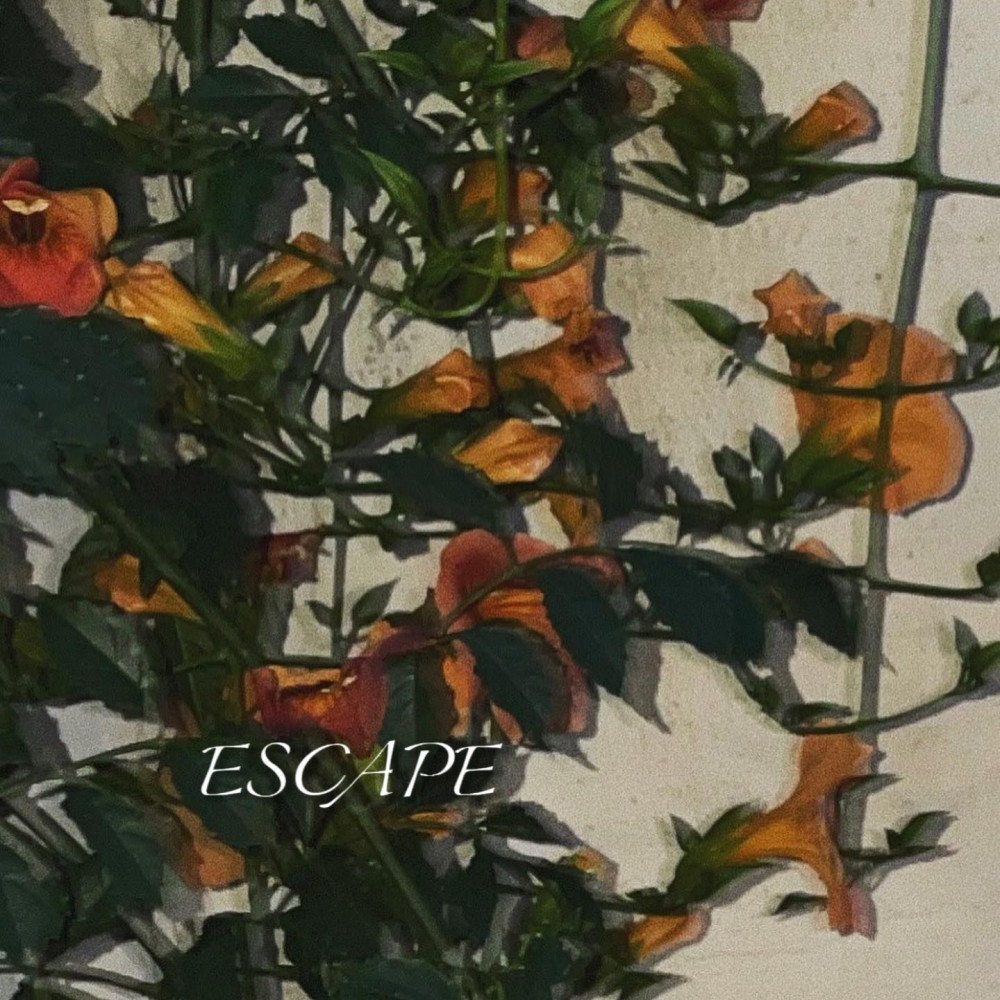 ESCAPE (cover: (여자)아이들) (完整版)