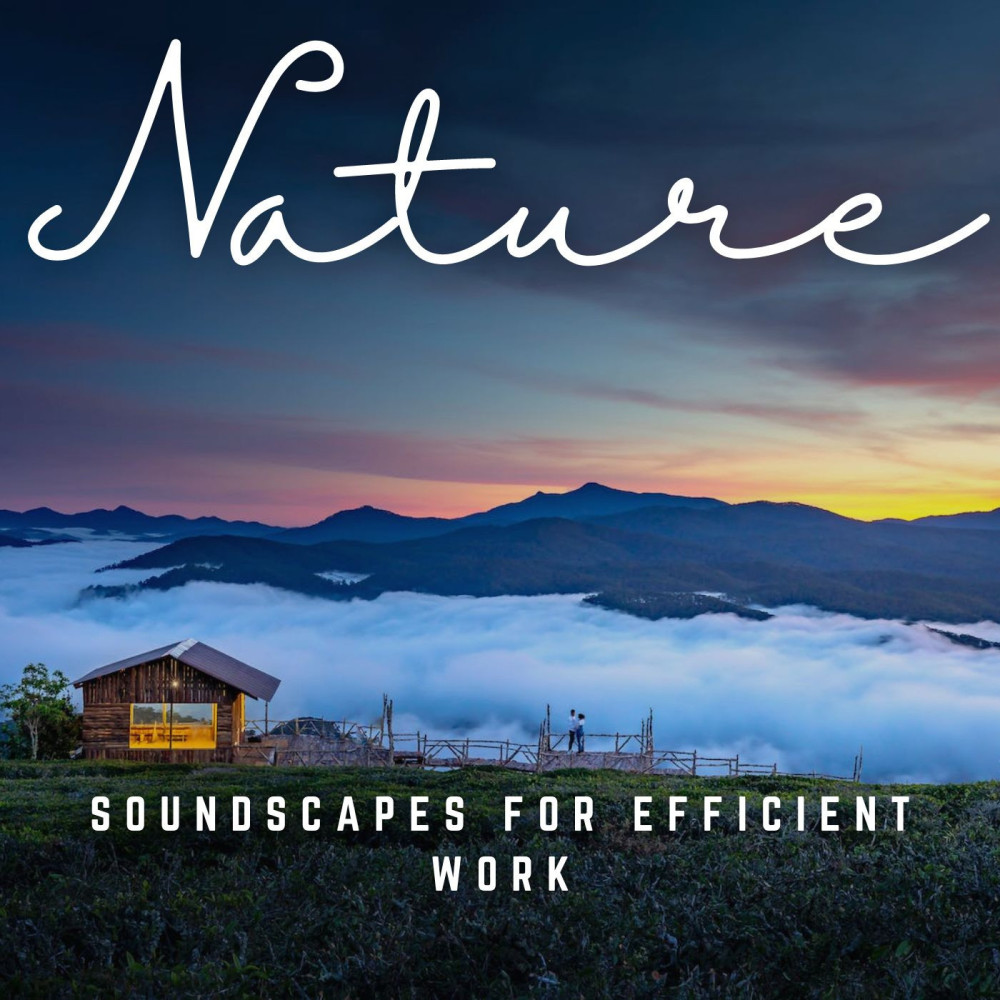 Soundscapes for Workday Harmony