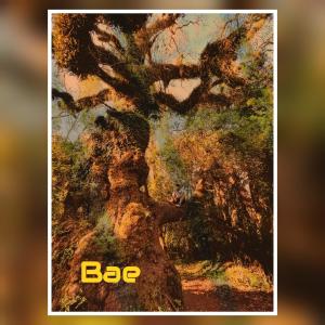 Balor的專輯Bae