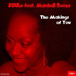 ดาวน์โหลดและฟังเพลง The Makings of You (Conway's Afro-Latin Funk) พร้อมเนื้อเพลงจาก SOULe