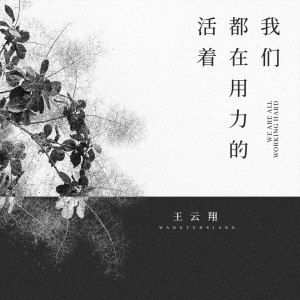 收听弦外之音的我们都在用力的活着歌词歌曲
