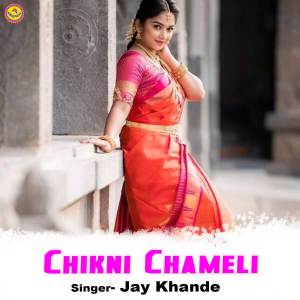 Album Chikni Chameli from 