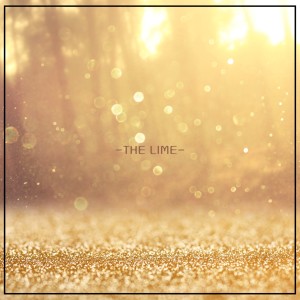 Album 햇살처럼 따뜻한 너의 미소 from The lime