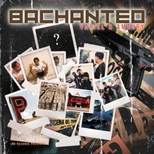 收聽Yariel的Bachanteo (feat. Amaury) (Explicit)歌詞歌曲