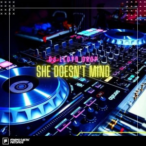 ดาวน์โหลดและฟังเพลง She Doesn't Mind พร้อมเนื้อเพลงจาก DJ Lloyd Drop
