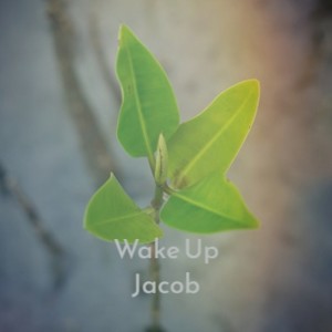 Wake Up Jacob dari Various Artist