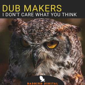 I Don't Care What You Think dari Dub Makers