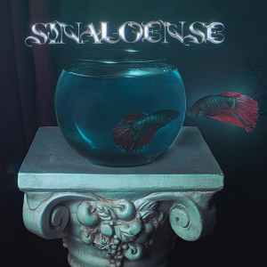 Album Sinaloense (Explicit) from 