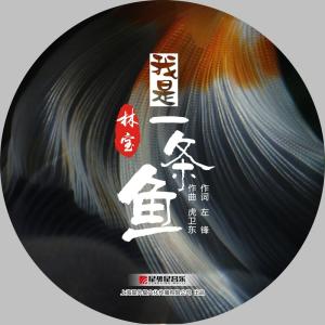 Dengarkan 我是一条鱼 lagu dari 林宝 dengan lirik