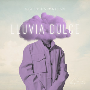 ดาวน์โหลดและฟังเพลง Joy of Sleep Music for Instant Recharge พร้อมเนื้อเพลงจาก Sea of Calmness