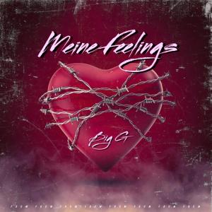 Album Meine Feelings (Explicit) oleh Big G