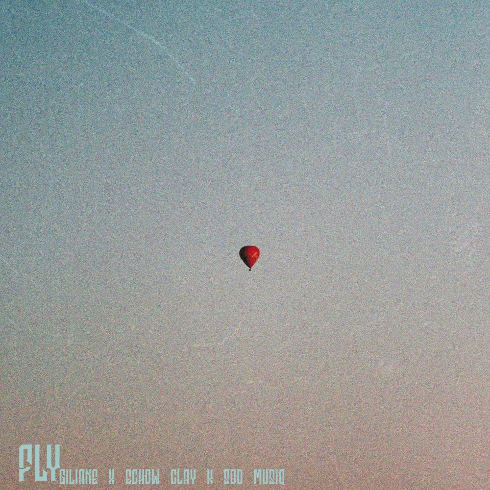 Fly