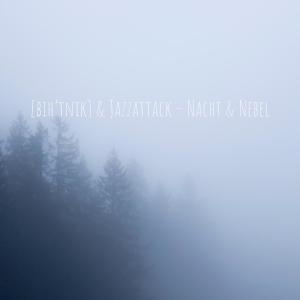 Album Nacht & Nebel (Video Edit) from [bih'tnik]