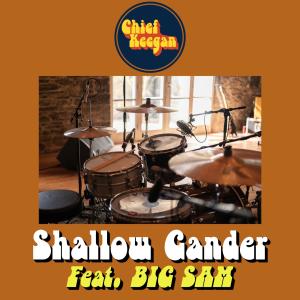 อัลบัม Shallow Gander (feat. Big Sam's Funky Nation) ศิลปิน Big Sam's Funky Nation