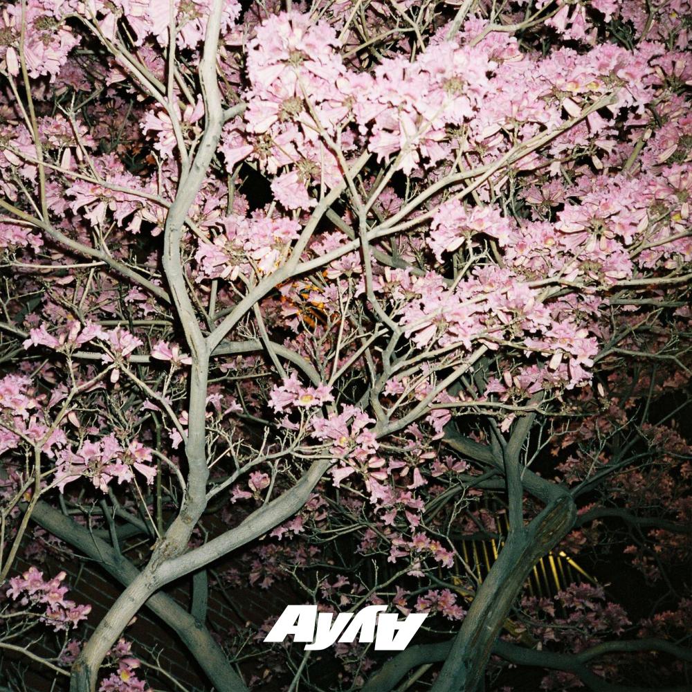 what you need - AY AY house flip (feat. QNTN) (其他)