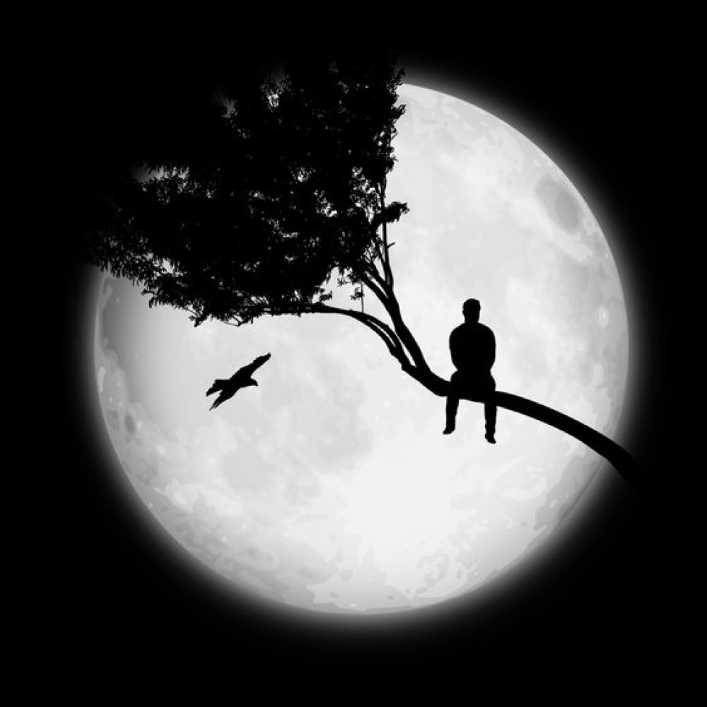 La Ultima Cancion (Cover)