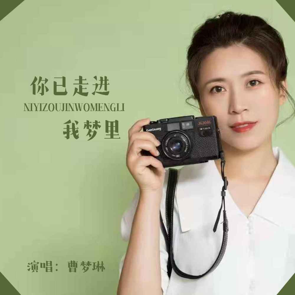 你已走进我梦里