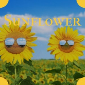 收聽Sinatra, Frank的Sunflower歌詞歌曲