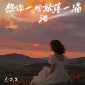 Album 想你一回就落一滴泪 from 李发发