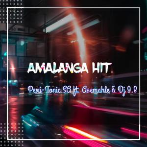 Album AMALANGA (feat. Asemahle & DJ 9.8) from Pexi Tonic SA