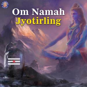 Dengarkan Om Namah Shivaya lagu dari Vighnesh Ghanapaathi dengan lirik