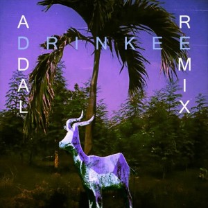 收聽Sofi Tukker的Drinkee (Addal Remix)歌詞歌曲
