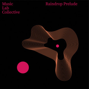 Music Lab Collective的專輯Raindrop Prelude