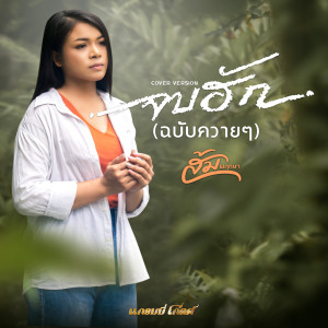 อัลบัม จบฮัก (ฉบับควายๆ) (Cover Version) - Single ศิลปิน ส้ม พฤกษา