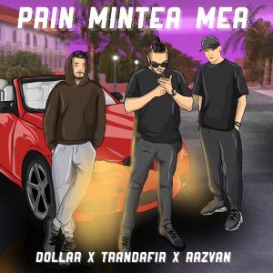 DOLLAR的專輯Prin mintea mea (feat. Trandafir & Razvan) (Explicit)