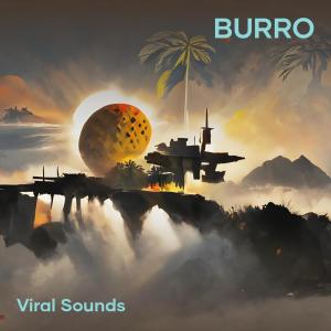 Listen to Burro song with lyrics from Viral Sounds