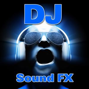 Dr Sound FX的專輯DJ Sound FX