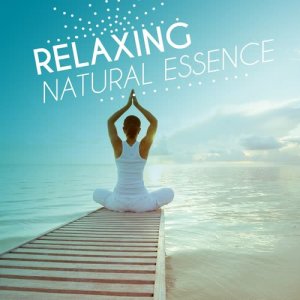 ดาวน์โหลดและฟังเพลง Forest of Birds พร้อมเนื้อเพลงจาก Nature Sounds Relaxing