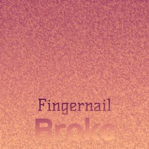 Various Artists的专辑Fingernail Broke