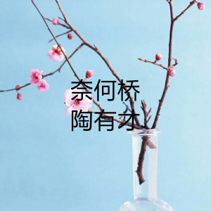 Listen to 奈何桥 song with lyrics from 陶有才