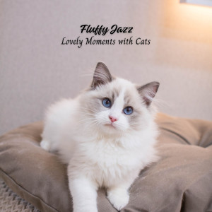 ดาวน์โหลดและฟังเพลง Jazzin’ Up the Heat พร้อมเนื้อเพลงจาก Soft Jazz Radio