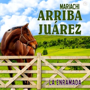 ดาวน์โหลดและฟังเพลง La Enramada พร้อมเนื้อเพลงจาก Mariachi Arriba Juárez