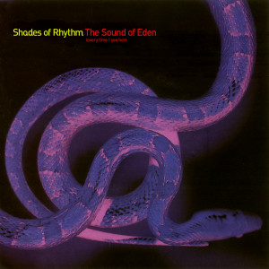 Shades of Rhythm的專輯The Sound Of Eden (Every Time I See Her)