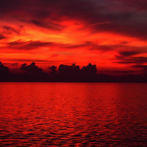Listen to Beautiful Buildings song with lyrics from Academia de Meditação Buddha