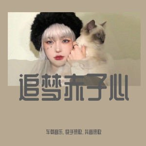 收聽車載音樂的這曲給力不（DJ版） (DJ版)歌詞歌曲
