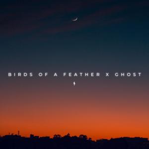 อัลบัม Birds of a Feather x Ghost ศิลปิน Turbocharged Titans