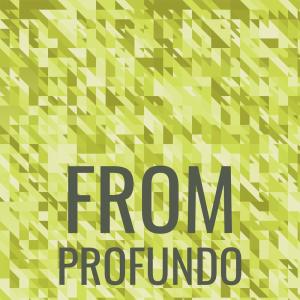 Album From Profundo from Various