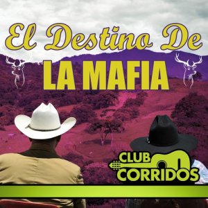 收聽Pepe Tovar y los Chacales del Norte的Nos Estorbo la Ropa歌詞歌曲