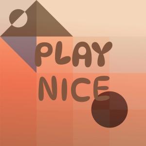 Play Nice dari Various Artists