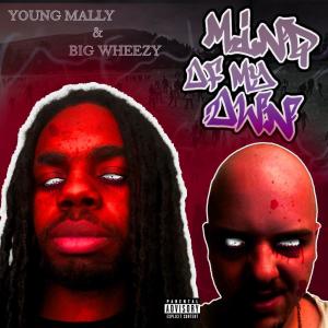 ดาวน์โหลดและฟังเพลง Take It Back (feat. Big Wheezy) (Explicit) พร้อมเนื้อเพลงจาก Mally Marley
