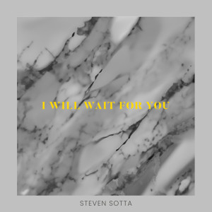 Steven Sotta的專輯I Will Wait For You (felt piano version)