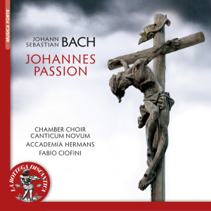 Listen to Johannes Passion, BWV 245: Recitative: Und siehe da, der Vorhang (1724 Version) song with lyrics from Accademia Hermans